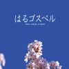 dvd-クリスマスコンサート